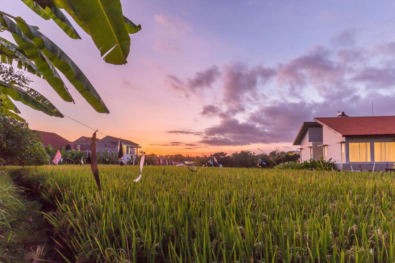 Charming Ricefield View 3 Bedrooms Villa Canggu  Exterior photo